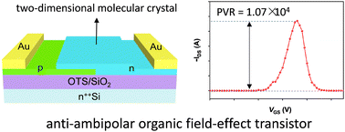 Graphical abstract: High peak-to-valley ratio in anti-ambipolar organic transistors enabled by two-dimensional molecular crystal heterojunctions