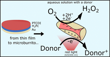 Graphical abstract: Organic photovoltaic microburritos for photo(electro)catalytic peroxide generation