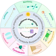 Graphical abstract: Supramolecular light-harvesting systems enabled by amphiphiles