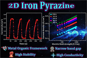 Graphical abstract: A stable narrow-bandgap 2D iron–pyrazine framework exhibiting high photoconductivity and spin–charge coupling