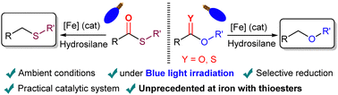 Graphical abstract: The iron-catalyzed selective hydrodeoxygenation and hydrodesulfurization of (thio)esters by hydrosilylation under blue light activation for access to (thio)ethers