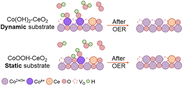 Graphical abstract: CeO2 promotes oxygen vacancy generation in Co(OH)2 for enhanced water oxidation