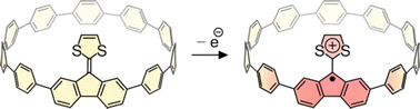 Graphical abstract: [11]Cycloparaphenylene incorporating a redox-active dithiafulvene moiety provides access to a carbon nanohoop with an unpaired electron along the core