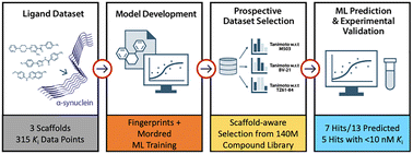 Graphical abstract: Machine learning prediction of multiple distinct high-affinity chemotypes for α-synuclein fibrils