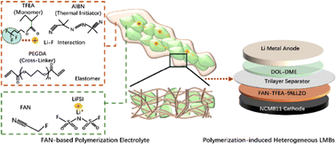 Graphical abstract: Polymerization-induced fluoroacetonitrile-based heterogeneous lithium metal batteries