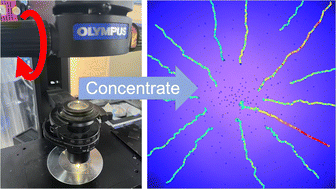 Graphical abstract: Radial illumination enables the concentration, dispersion, lateral transport, and sorting of photocatalytic TiO2 microspheres