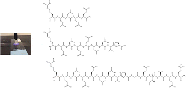 Graphical abstract: Cold argon plasmas for non-enzymatic digestion of macromolecules