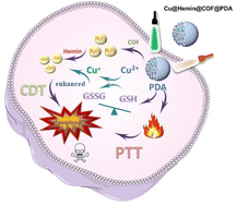 Graphical abstract: Tumor microenvironment-responsive COF-based core–shell cascade nanoreactor with photocatalytic H2O2 self-supply for improved treatment