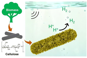 Graphical abstract: Hybridization of preheated cellulose microcrystals with MoS2 sheets for enhanced piezo-catalytic hydrogen evolution