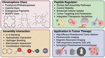 Graphical abstract: Self-assembled chromopeptide nanostructures for photothermal therapy of tumors