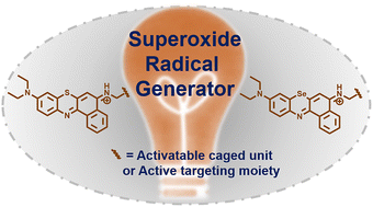 Graphical abstract: Sulfur- or selenium-substituted Nile blue-based superoxide radical generators for precise photodynamic therapy and immunotherapy