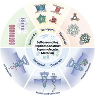Graphical abstract: Self-assembling peptides construct supramolecular materials