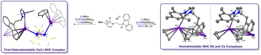 Graphical abstract: Fluorenyl-tethered N-heterocyclic carbene complexes of the heavy alkali metals