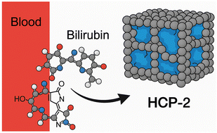 Graphical abstract: Nitrogen-rich hyper-cross-linked polymers for rapid and selective bilirubin removal in hemoperfusion