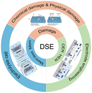 Graphical abstract: Critical progress in direct seawater electrolysis for sustainable hydrogen production