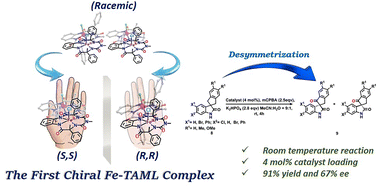 Graphical abstract: Enantioselective C–H bond oxidation using a bio-inspired chiral Fe-TAML catalyst