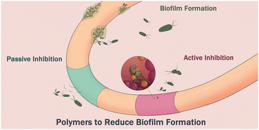 Graphical abstract: Recent developments in antimicrobial polymers for biofilm inhibition