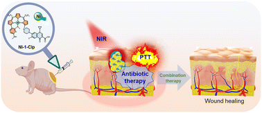 Graphical abstract: A light-activated nickel(ii)–antibiotic conjugate for synergistic antibacterial therapy