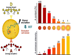 Graphical abstract: Cooperative organic alloy nanoparticles built from a matching pair of quadrupolar dyes showing unusual fluorescence behaviour