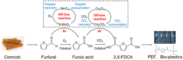 Graphical abstract: Offline catalytic behavior in the preparation of FDCA from biomass and CO2