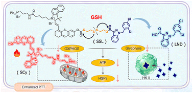 Graphical abstract: A dual-strike strategy against glycolytic and mitochondrial metabolism for potentiated mild photothermal therapy