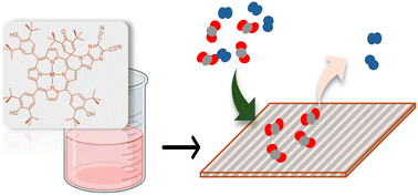 Graphical abstract: Central-metal-cation-based modulation of gas adsorption selectivity in porous tetrapyrrolic materials
