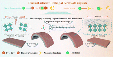 Graphical abstract: Terminal-selective healing of perovskite crystals for air-fabricated high-performance flexible perovskite solar cells