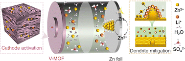 Graphical abstract: A Li+/Zn2+ hybrid electrolyte revolutionizes V-MOF cathode performance and zinc anode reversibility