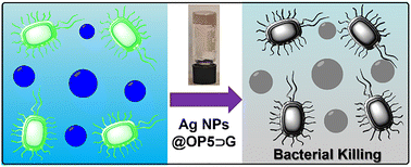 Graphical abstract: Oxime-modified pillar[5]arene-based hybrid supramolecular polymers: construction and antibacterial performance