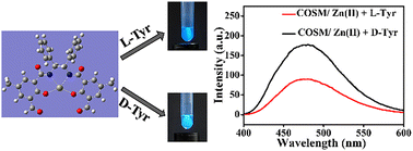 Graphical abstract: Zn(ii)-coordinated organic small molecule as a chiral fluorescent probe for discrimination and detection of tyrosine enantiomers