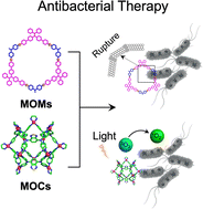 Graphical abstract: Coordination-driven supramolecular metalla-cycles/cages for next-generation antibacterial therapy