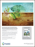 Graphical abstract: Back cover