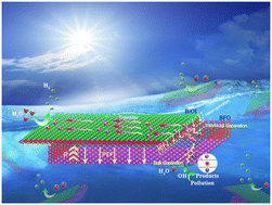Graphical abstract: Synergistic effect of built-in and polarized electric fields in BiFeO3/BiOI heterojunctions for efficient photocatalysis