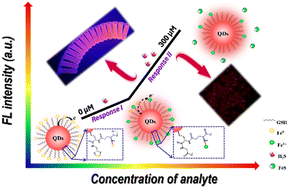 Graphical abstract: Manipulating the surface structure of quantum dots based on dual response modes triggered by iron ions for the visualization of hydrogen sulfide with a wide detection range