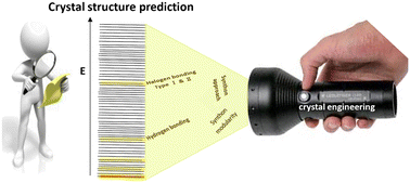 Graphical abstract: Synthon modularity in crystal structure prediction: designing pomalidomide polymorphs and co-crystals