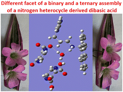 Graphical abstract: Ternary assembly of pyrazine 2,3-dicarboxylic acid with a ditopic amine