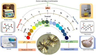 Graphical abstract: Influence of the crystallisation approach on multicomponent systems of palmatine chloride