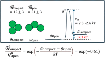 Graphical abstract: Stable non-compact prenucleation clusters of attractive colloidal crystals observed directly
