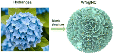 Graphical abstract: 3D bionic flower-like structure water-storage microcapsule evaporator for efficient solar interfacial evaporation