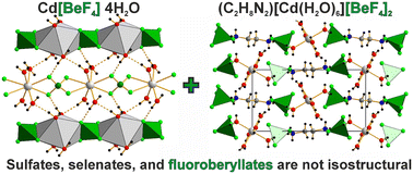 Graphical abstract: When sulfate, selenate, and fluoroberyllate are not isostructural analogs: the case of Cd[BeF4]·4H2O and (C2H8N2)[Cd(H2O)6][BeF4]2