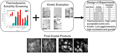Graphical abstract: A kinetically informed thermodynamic (KIT) design framework for understanding the crystallization characteristics of resveratrol