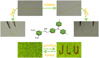 Graphical abstract: Reversible mechanochromism and polarization modulation in an elastic organic crystal