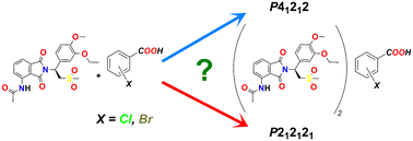 Graphical abstract: New forms of apremilast with halogen derivatives of benzoic acid