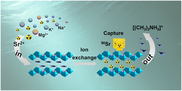 Graphical abstract: Efficient capture of Sr2+ ions by a layered crystalline zirconium phosphate fluoride
