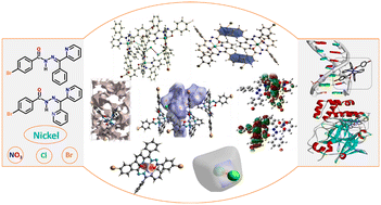 Graphical abstract: Nickel(ii) complexes of halogen-containing NNO donor aroylhydrazones as potential putative binders against SARS CoV-2 Mpro