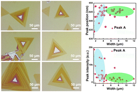 Graphical abstract: CVD growth and width-dependent optical properties of spiral WS2 microribbons on 2D triangular monolayer WS2 flakes