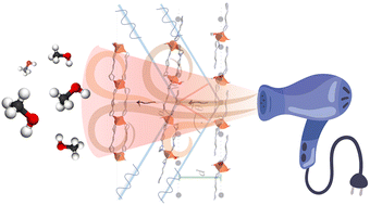 Graphical abstract: Stepwise single-crystal-to-single-crystal phase transition in copper-based coordination polymers triggered by solvent release