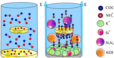 Graphical abstract: Effect of natural electric field on bioconjugation, secondary structure and the crystallization mechanism of peptide composite with gold nanoparticles on mica surface (R2)