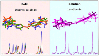 Graphical abstract: Solid-state conformations of pharmaceutical polymorphs in solution: validation and invalidation by NMR.