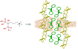 Graphical abstract: Directing alendronate structures into 2-D layers with bulky quaternary phosphonium cations